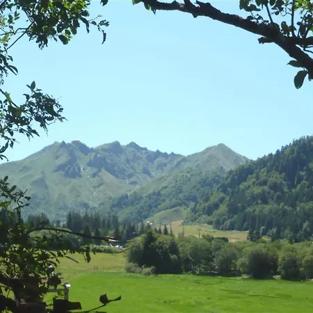 Mont-dore, 3 Pieces, 8 Personnes - Fr-1-415-74 Apartmán Le Mont-Dore